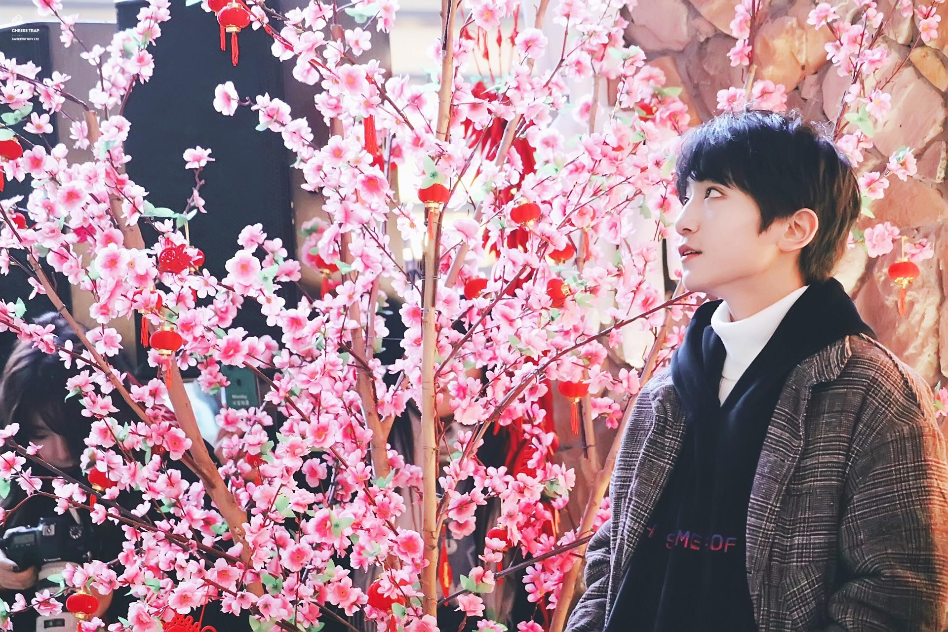 大家如何评价tf家族的李天泽?