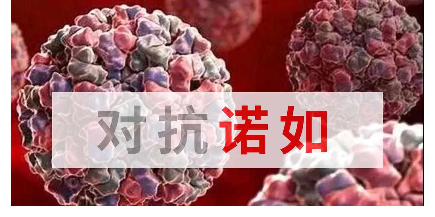 v2-30c6edf049f9b1a20662c18f8a0e2694_1440w.jpg?source=172ae18b