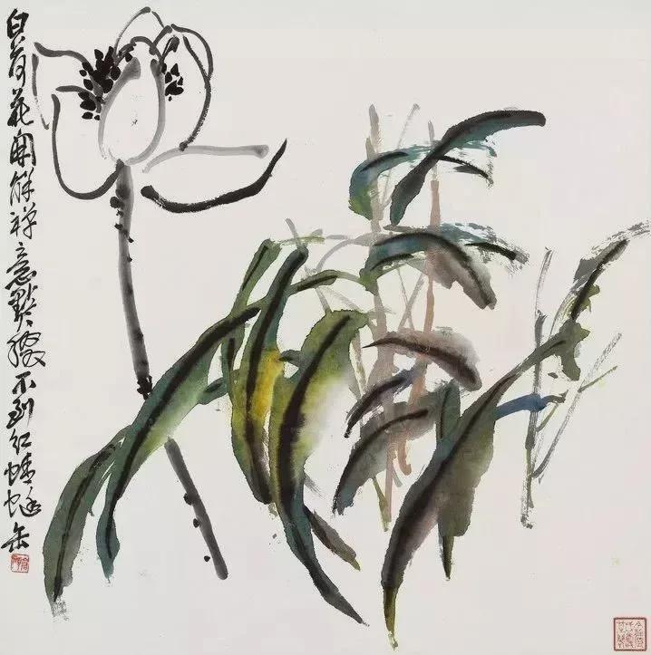 吴昌硕《花卉清供册》，清雅至极- 知乎