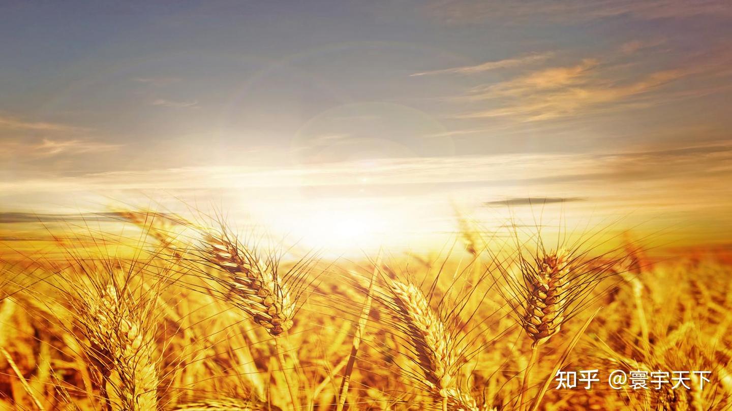 国际期货交易时间及规则！你真的知道吗？ - 知乎