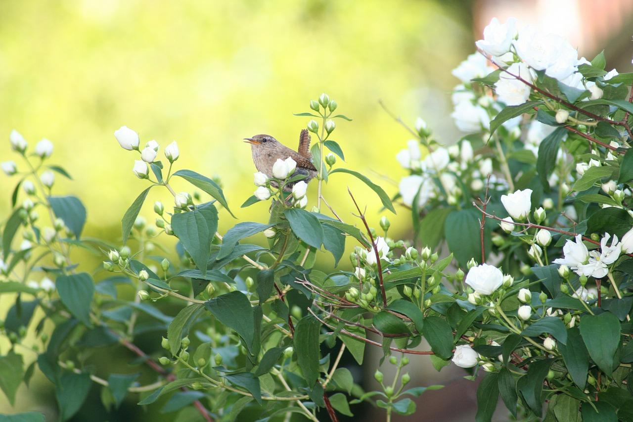龙吟花园价格走势