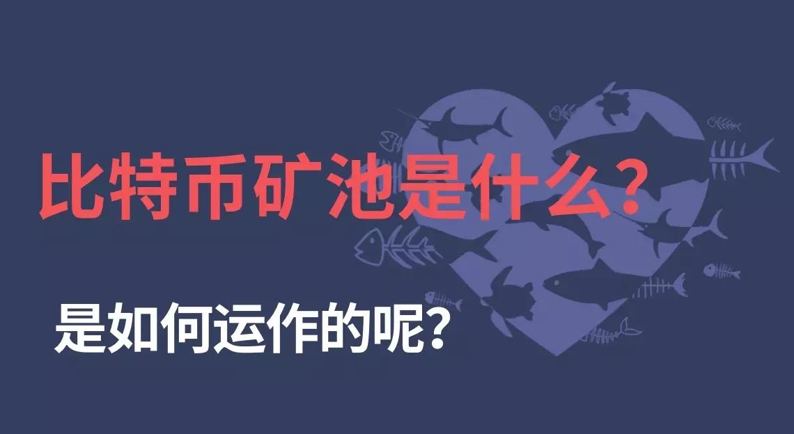 虚拟币矿池有什么好处(虚拟币矿池有什么好处和坏处)