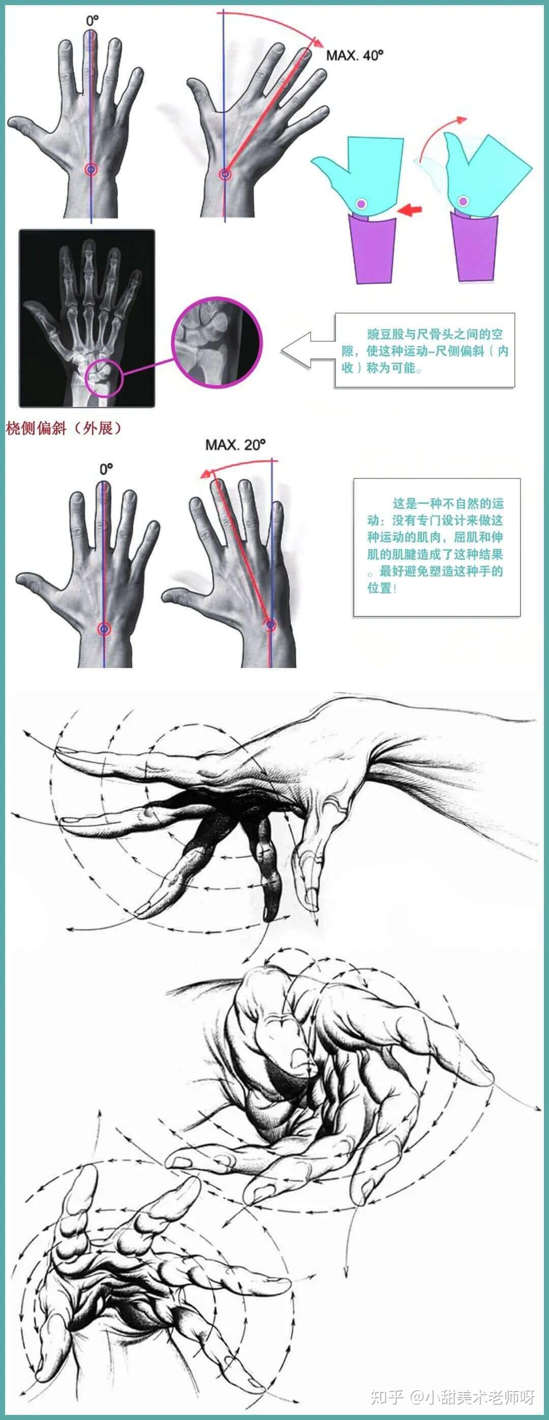 人艺美术速写基础教程 |手部动态及作画步骤 - 知乎
