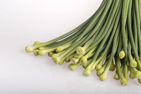 蒜条金到底长什么样? - 知乎