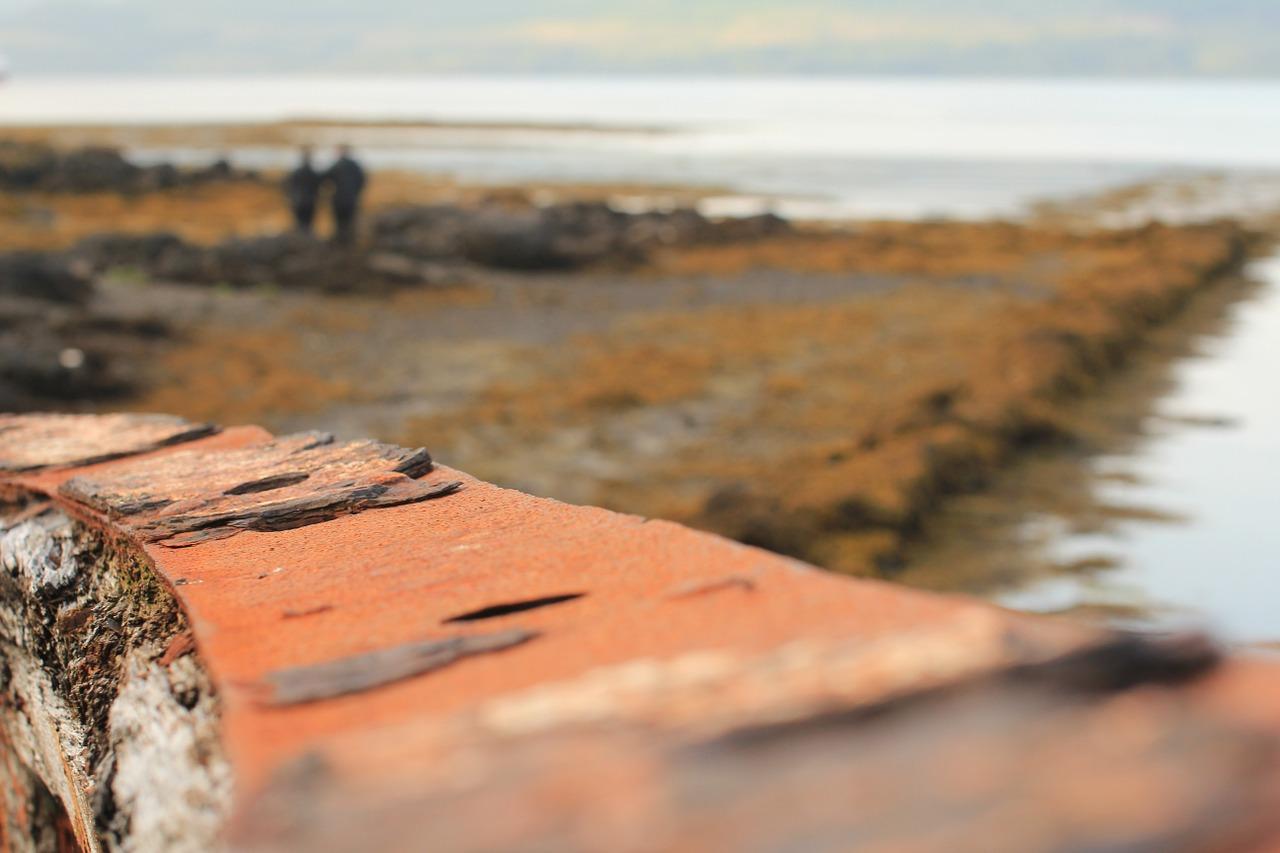 3. 乘船抵达方式