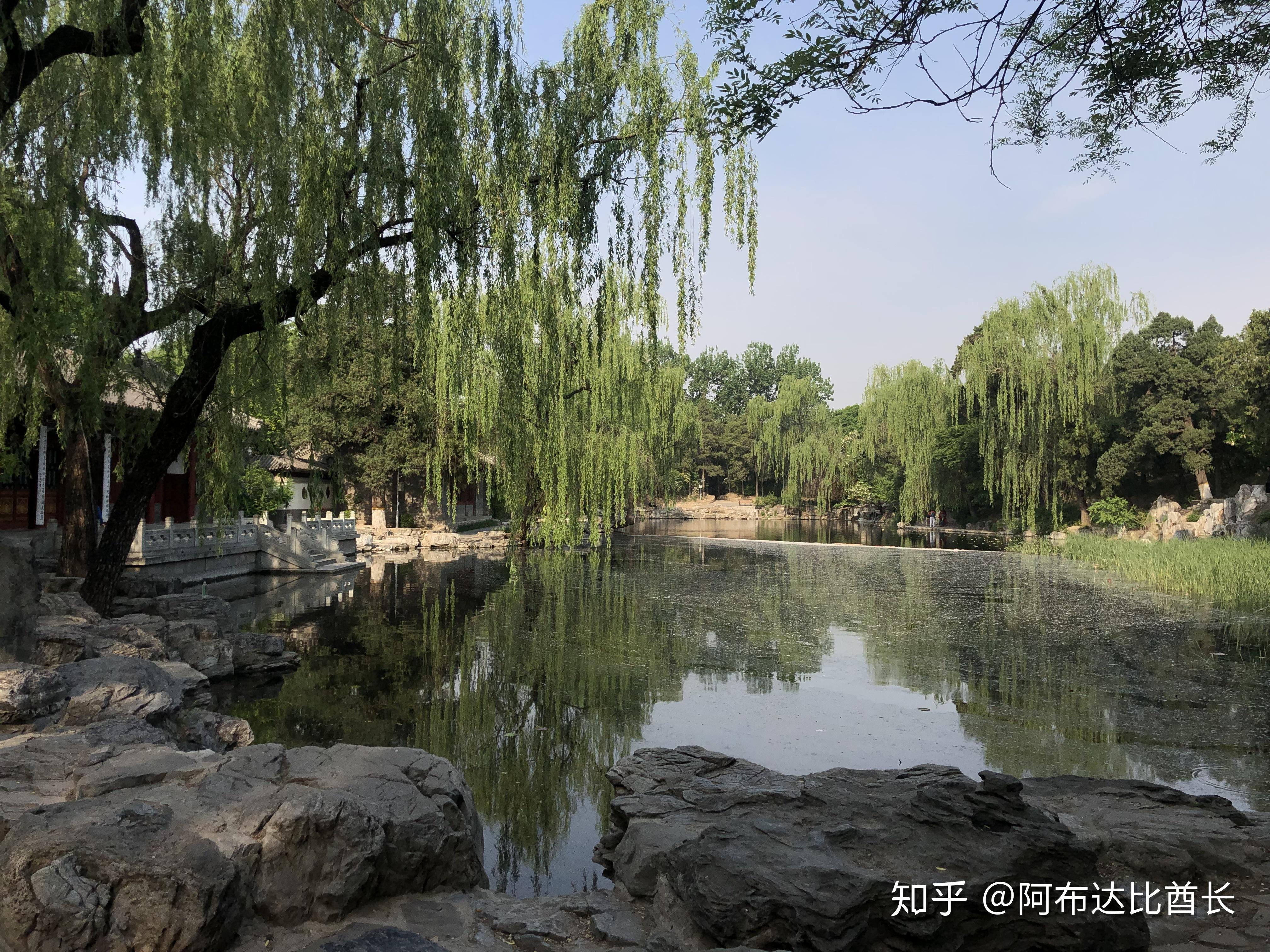 清华大学的生活是怎样的