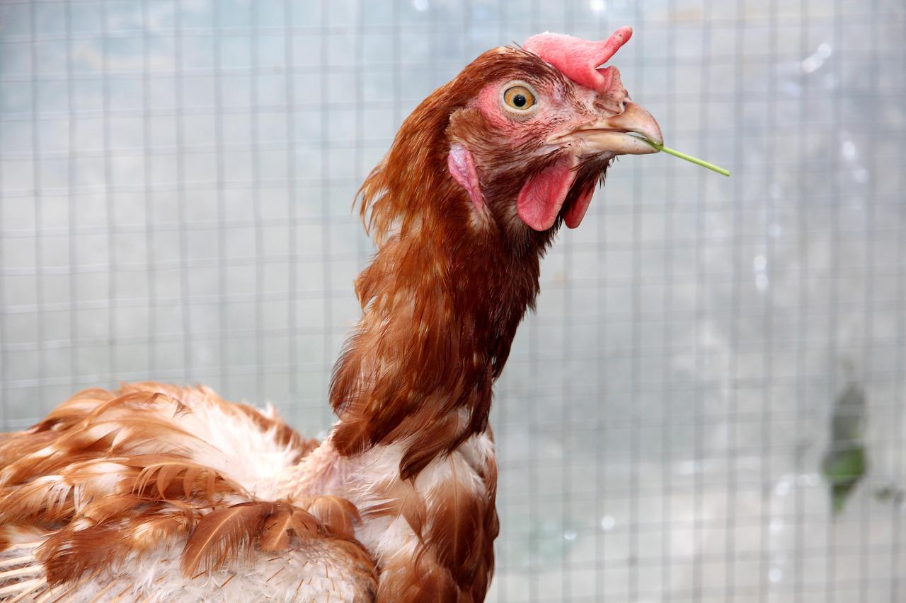 3. 性格匹配度探讨