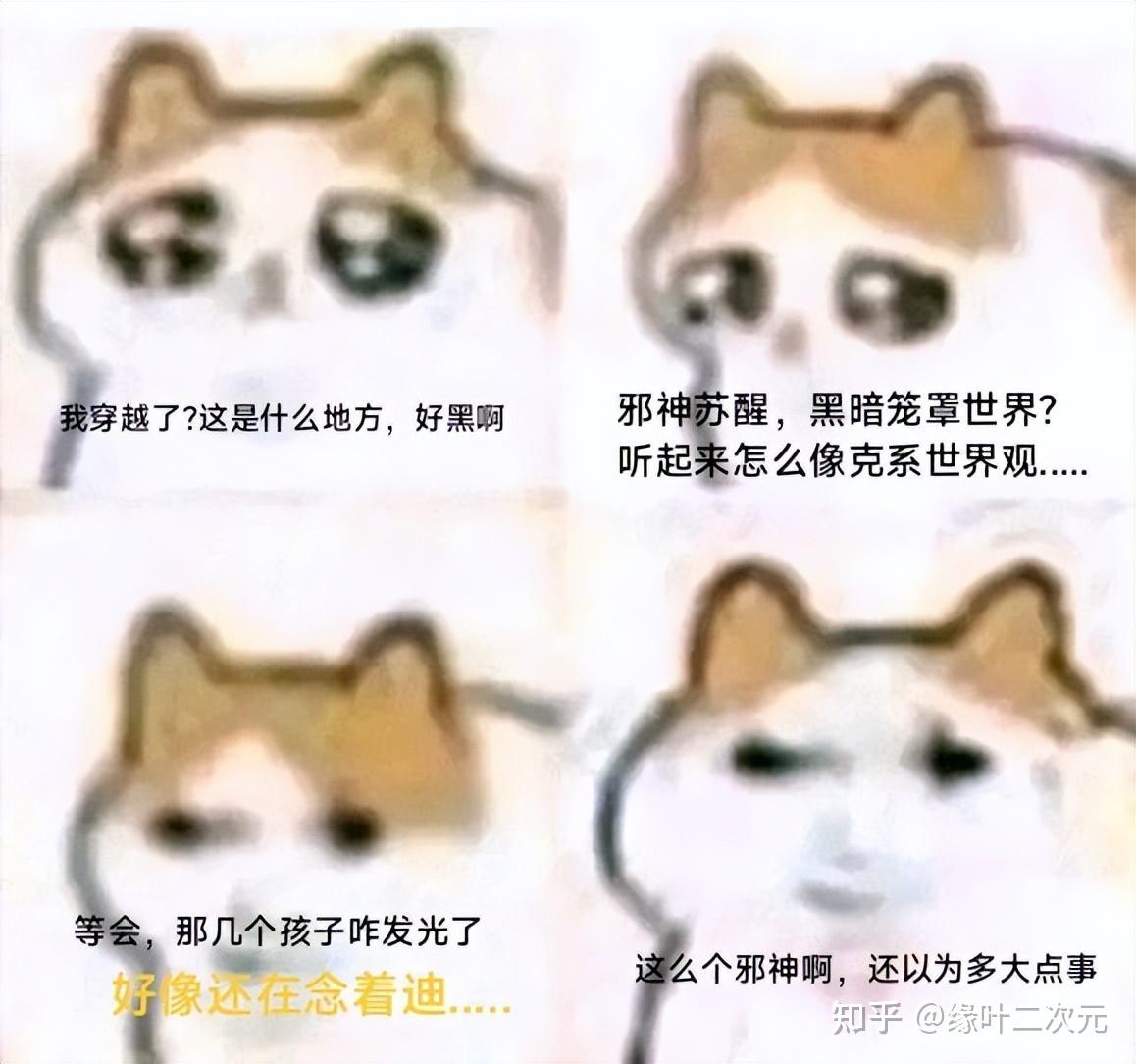 啊,不行了,这猫猫meme图太可爱了 - 知乎