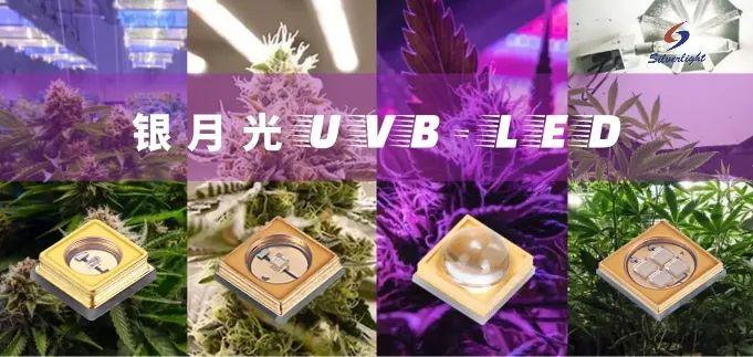 人工光植物工厂紫外LED光照系统设计规范与技术要求 - 知乎