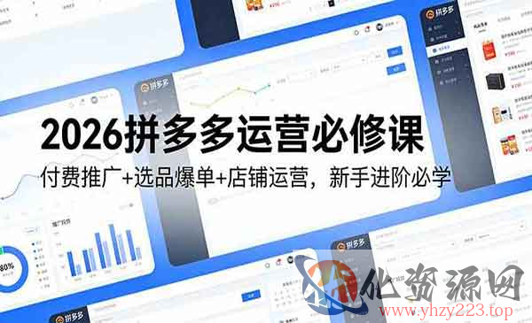 2026拼多多运营必修_wwz