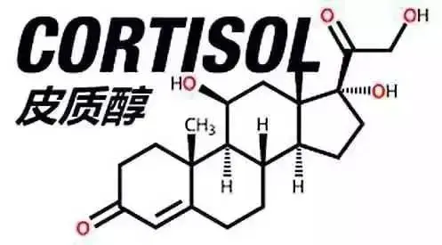 "皮质醇"让人又爱又恨的双刃剑,关于"皮质醇"的最全解读