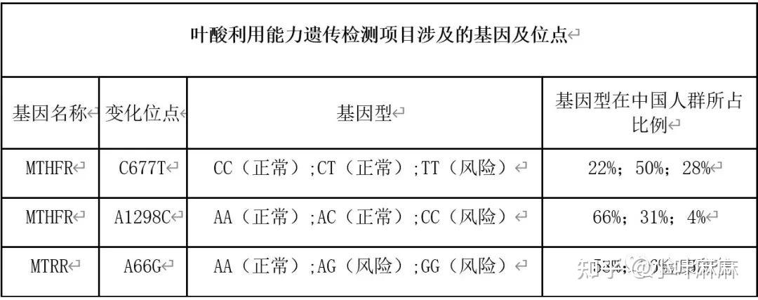 怀孕期间有必要做叶酸代谢能力基因检测吗
