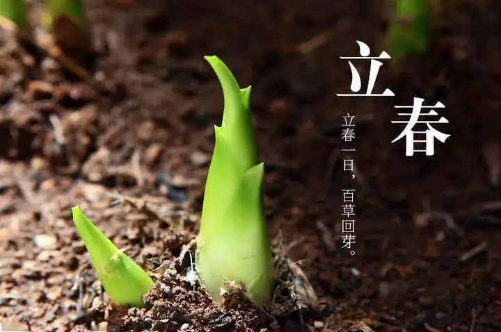 二十四节日之立春 - 知乎