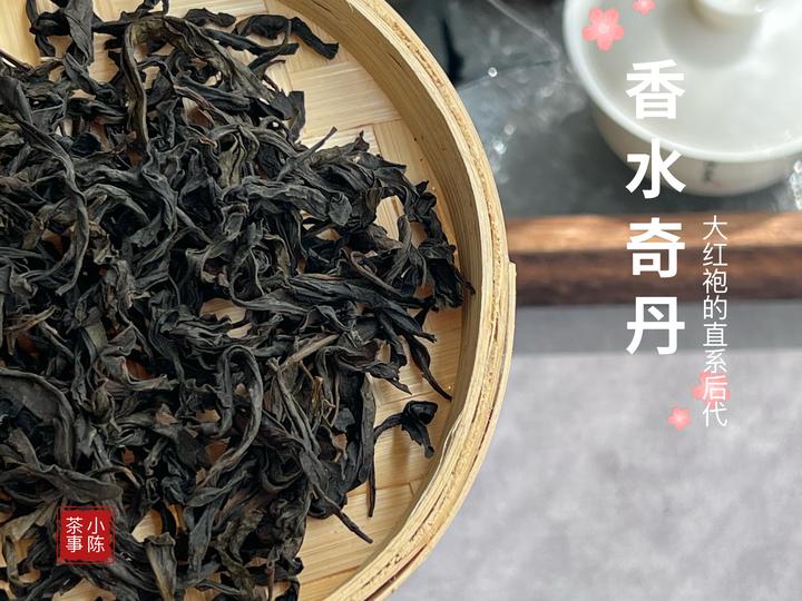 一款颠覆你对奇丹、大红袍家族认知,连名字都是诗的正岩名丛! - 知乎
