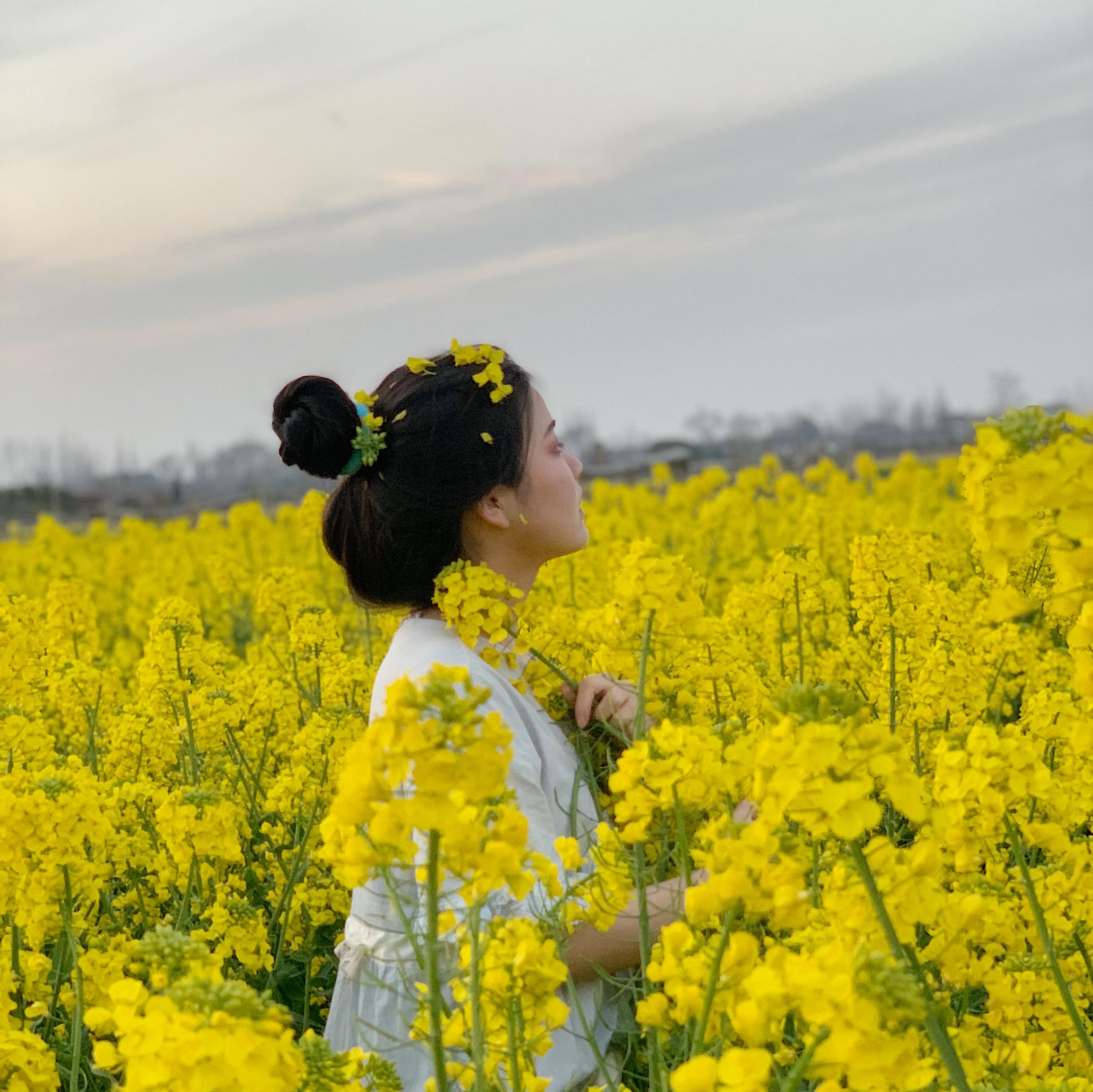 你拍过哪些能体现出春天在这里的照片