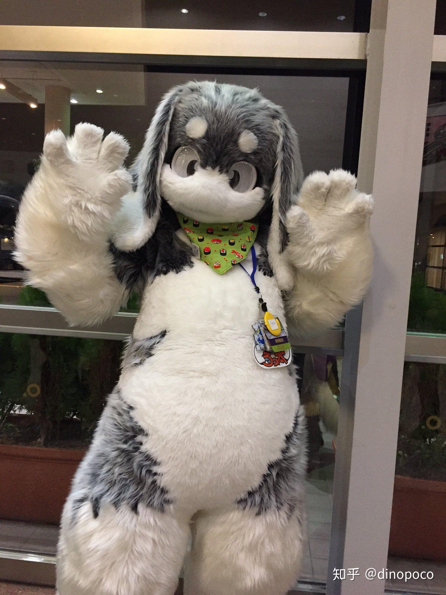 求一些可爱的兔子兽装图片