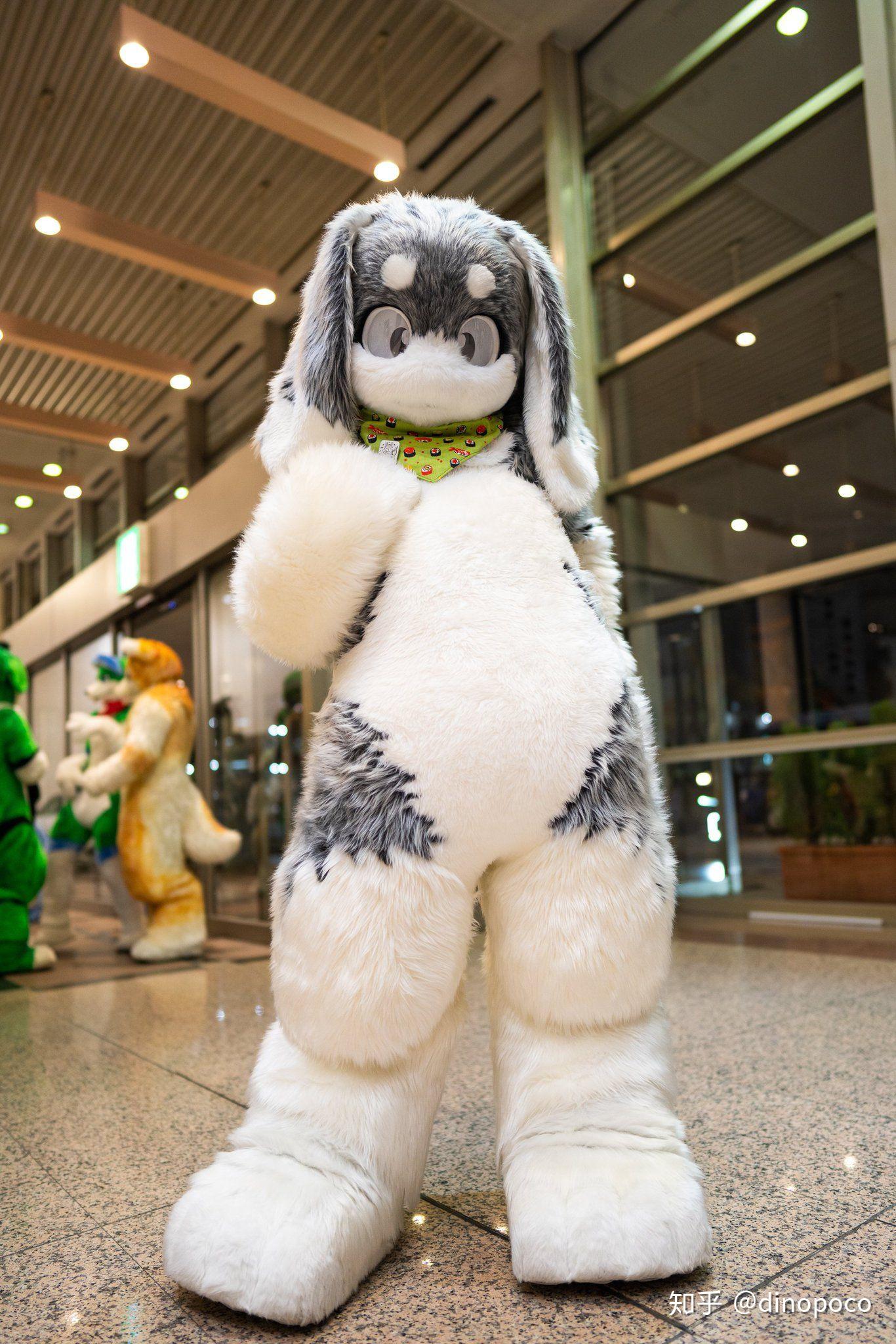 求一些可爱的兔子兽装图片