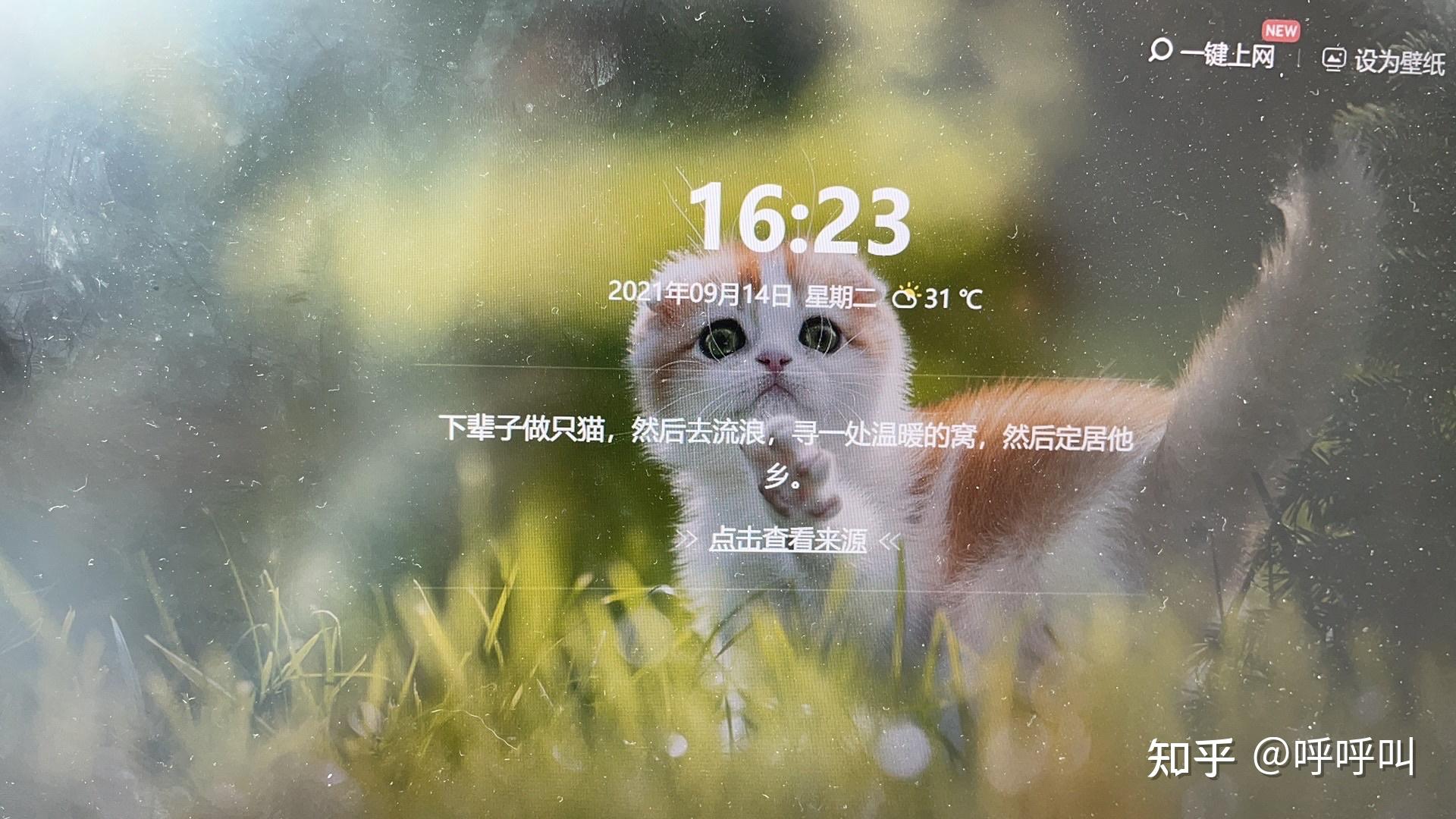 360画报能一键定制成壁纸感觉还行你们觉得好用吗