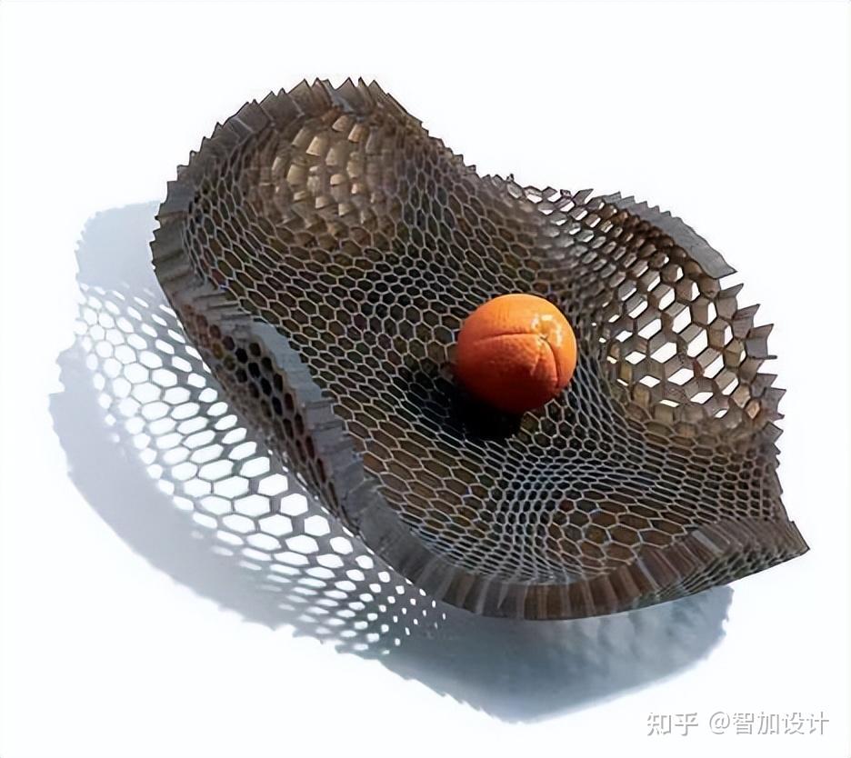 仿生设计——来自大自然的馈赠 - 知乎