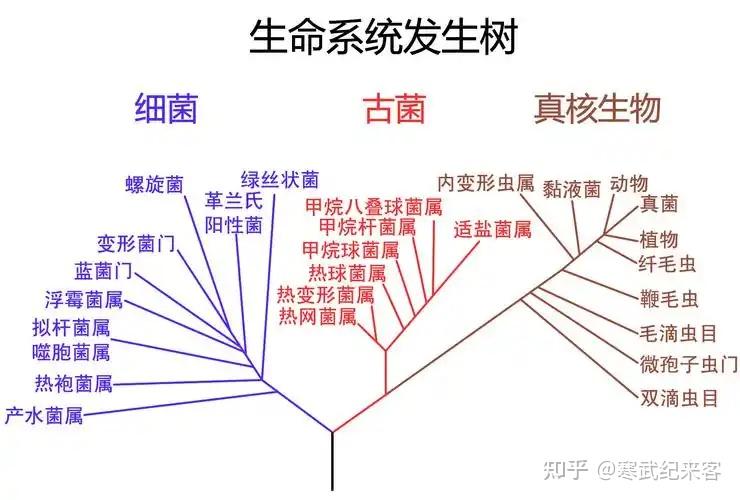 从深海热泉到万物生灵：一部40亿年的地球生命史诗 - 知乎