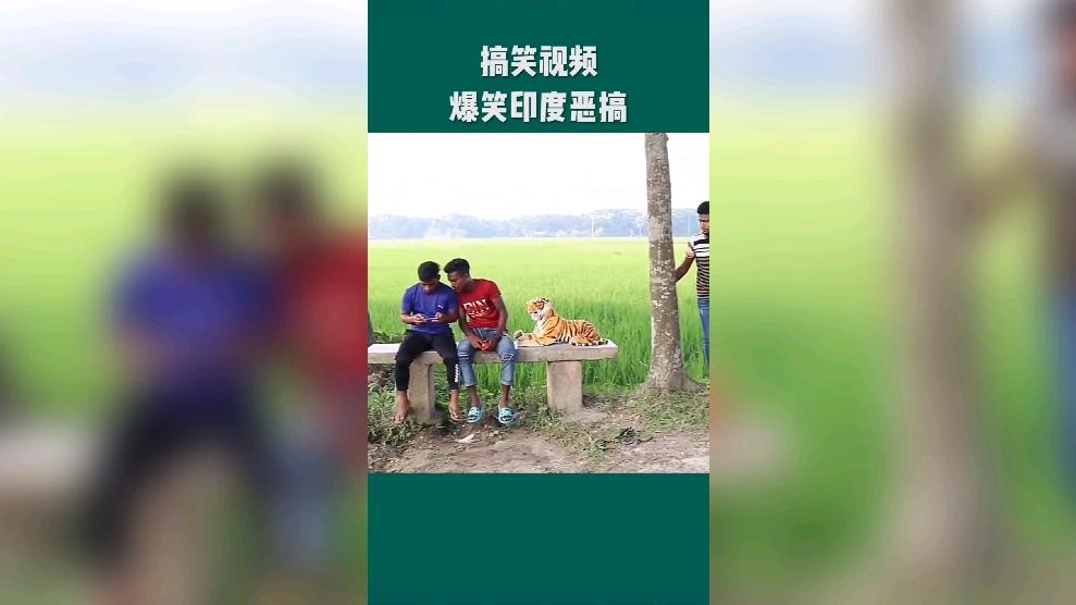 嫁给印度人是种怎样的体验