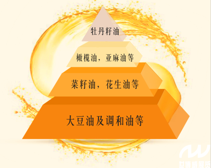 各种食用油的烟点是多少根据烟点如何更好的选择食用油