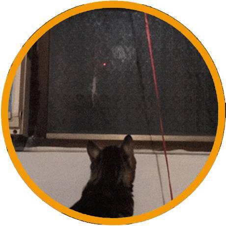 v2-336790ce099ed9781e0d4249b8803d17_1440w.jpg?source=172ae18b