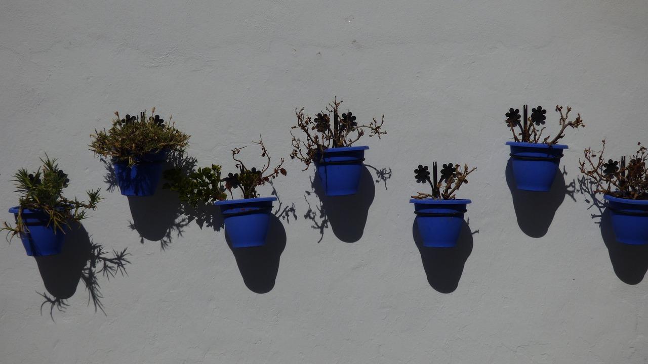 铲墙腻子多少钱一平方