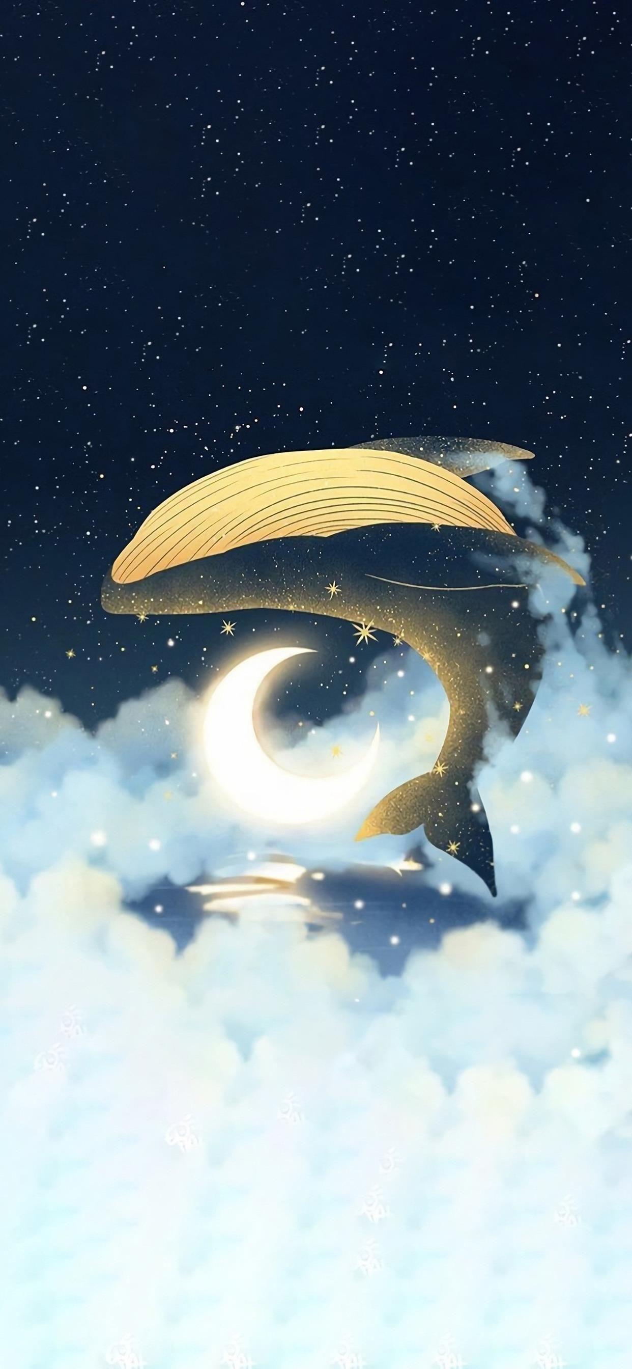 有没有关于鲸鱼的壁纸呢很喜欢一直找不到好看的