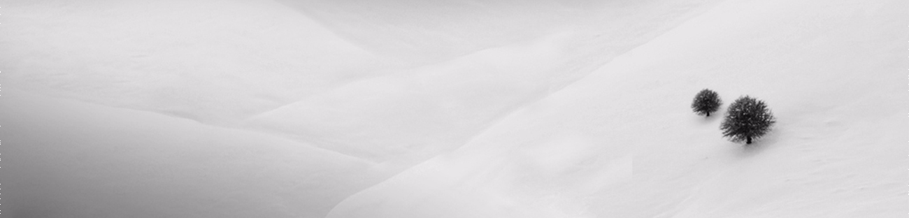 Zhihu banner for @blend