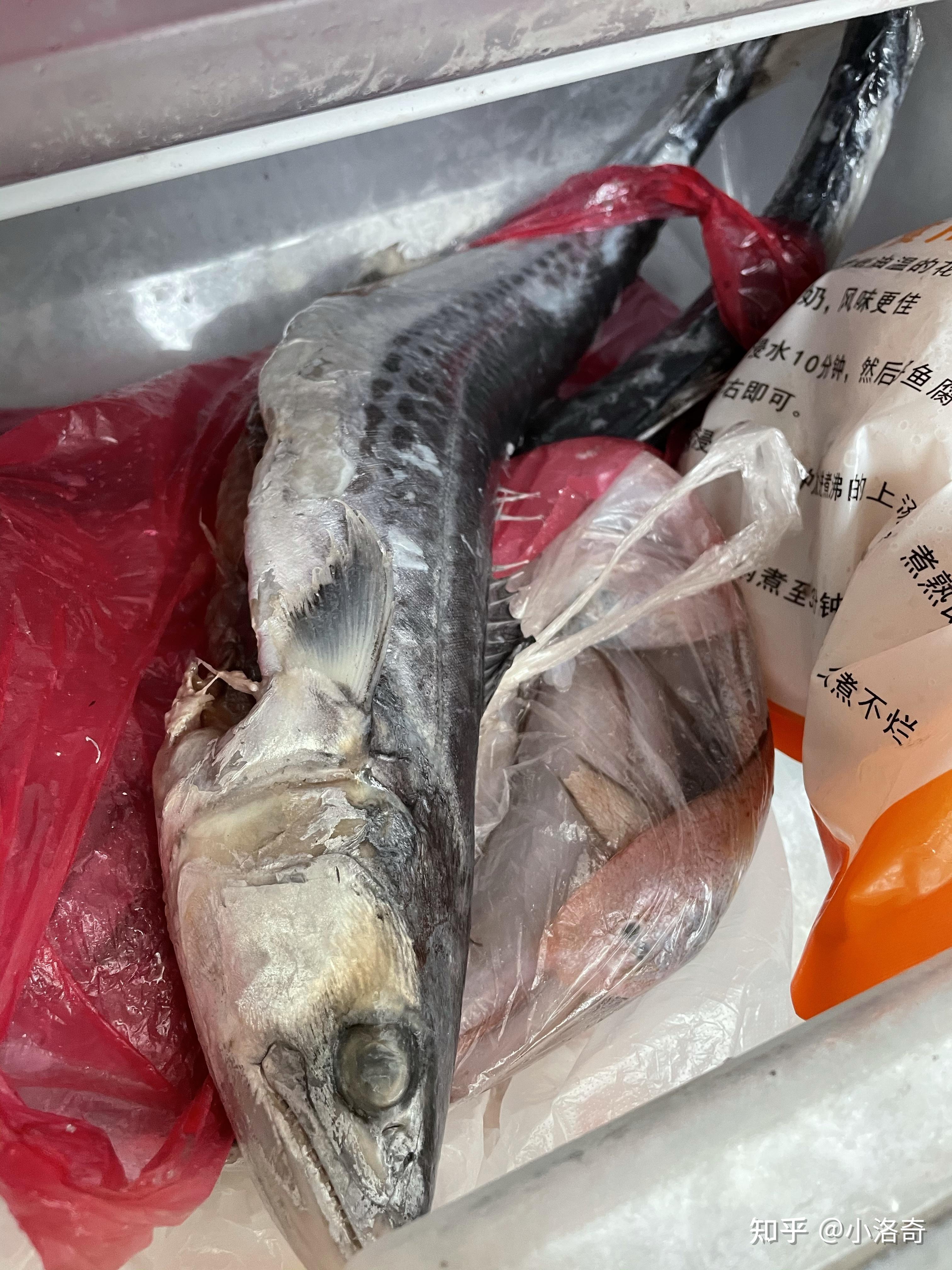 菜市场冰冻马鲛鱼? - 知乎