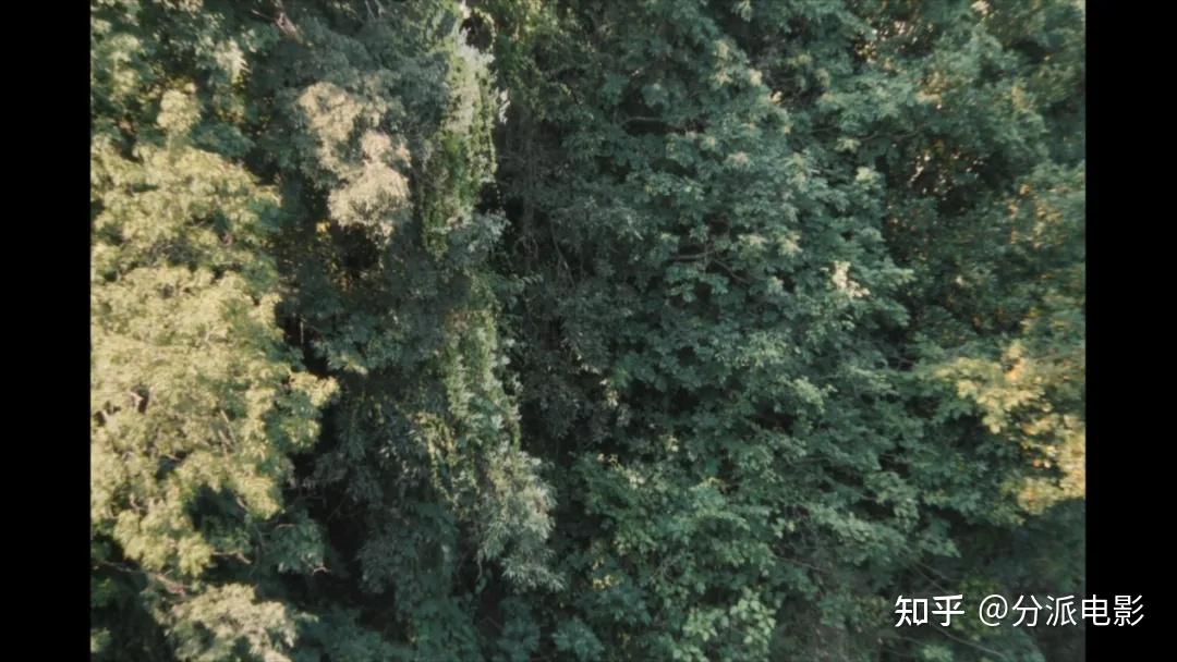 《女孩，你怎么了？》烂番茄100%，小语种爆款