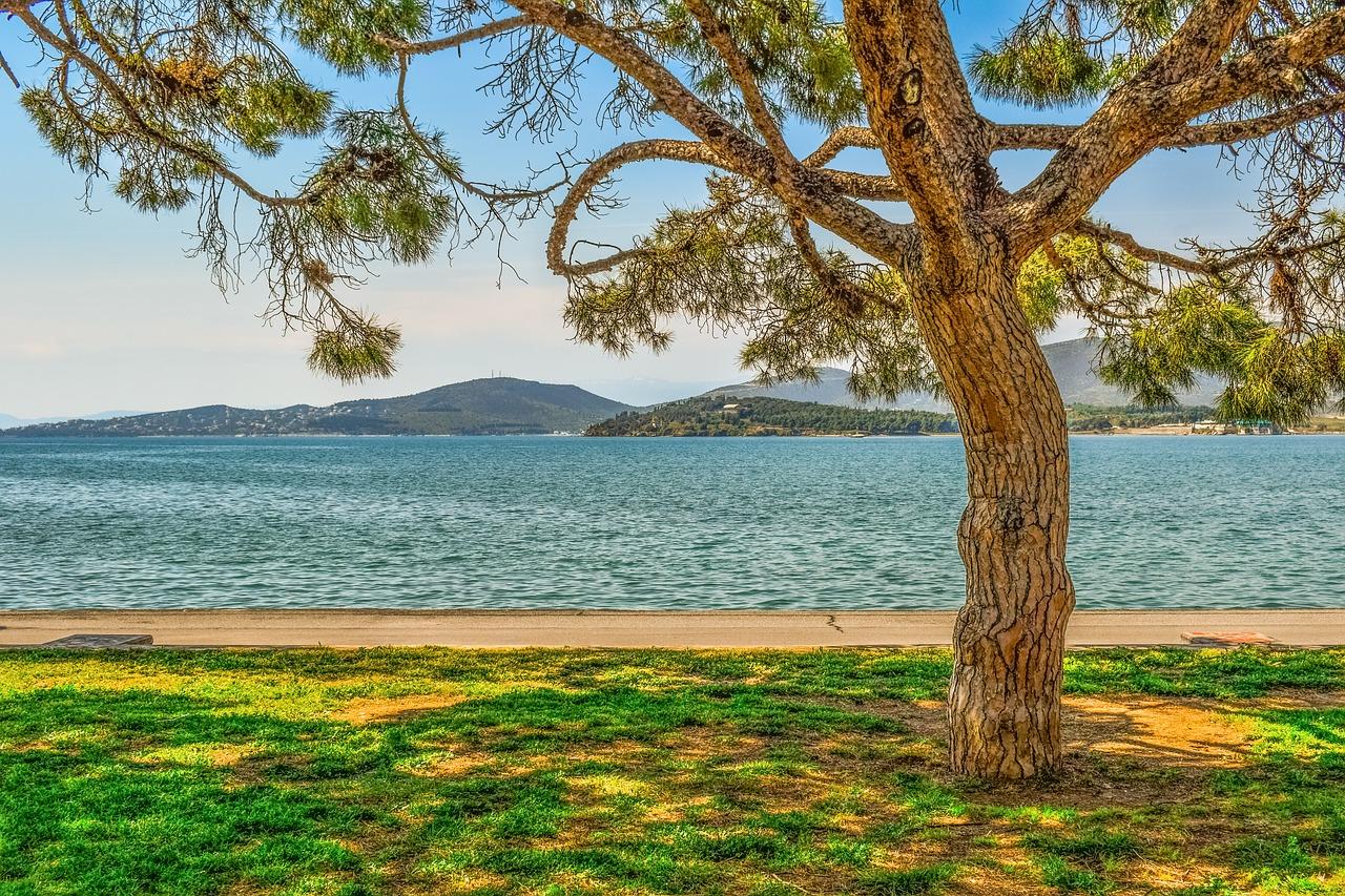 3. 公园旁好房推荐