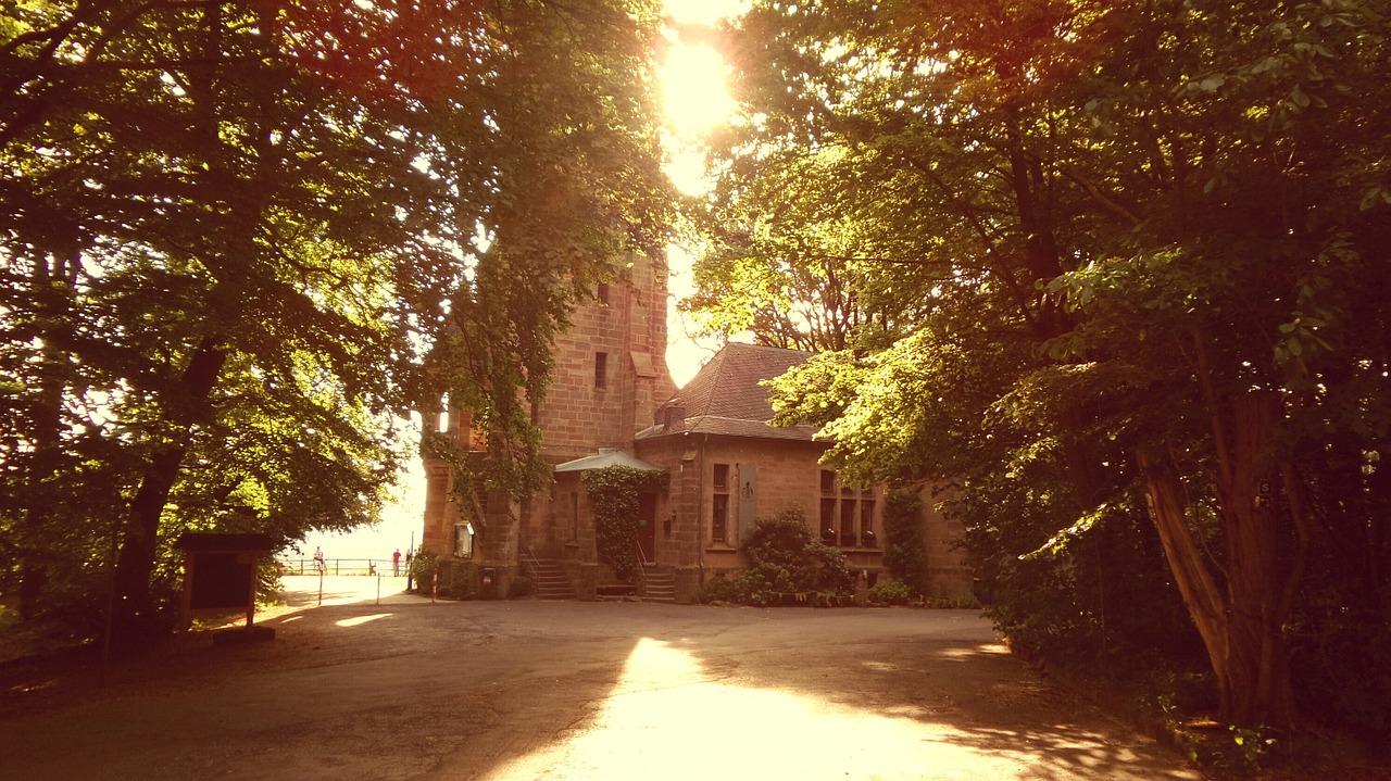 森林里的奇妙生物