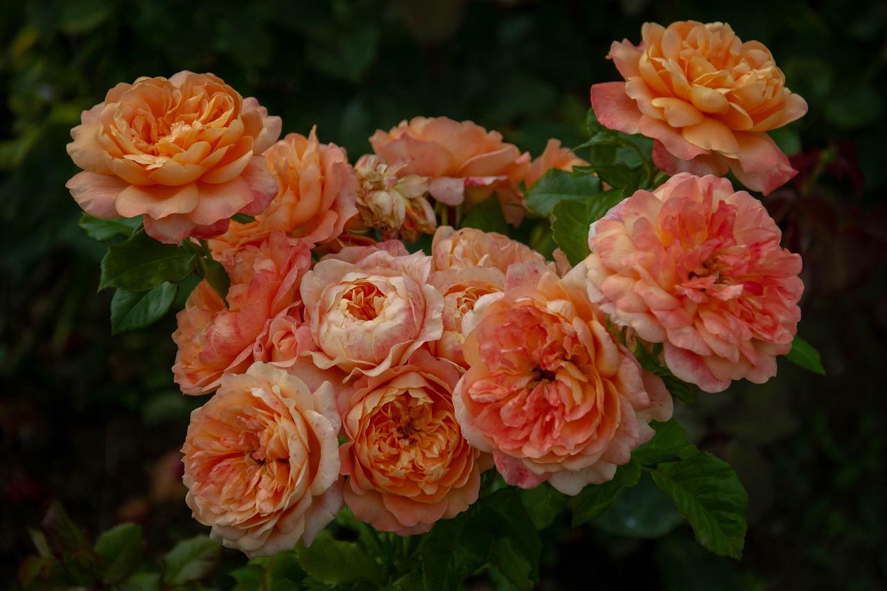 3. 避免阳光直射