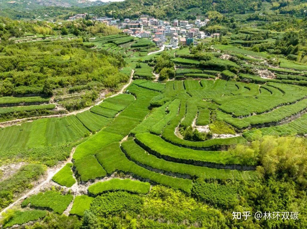 碳汇银行:助力农业碳汇生态产品价值跃升 - 知乎