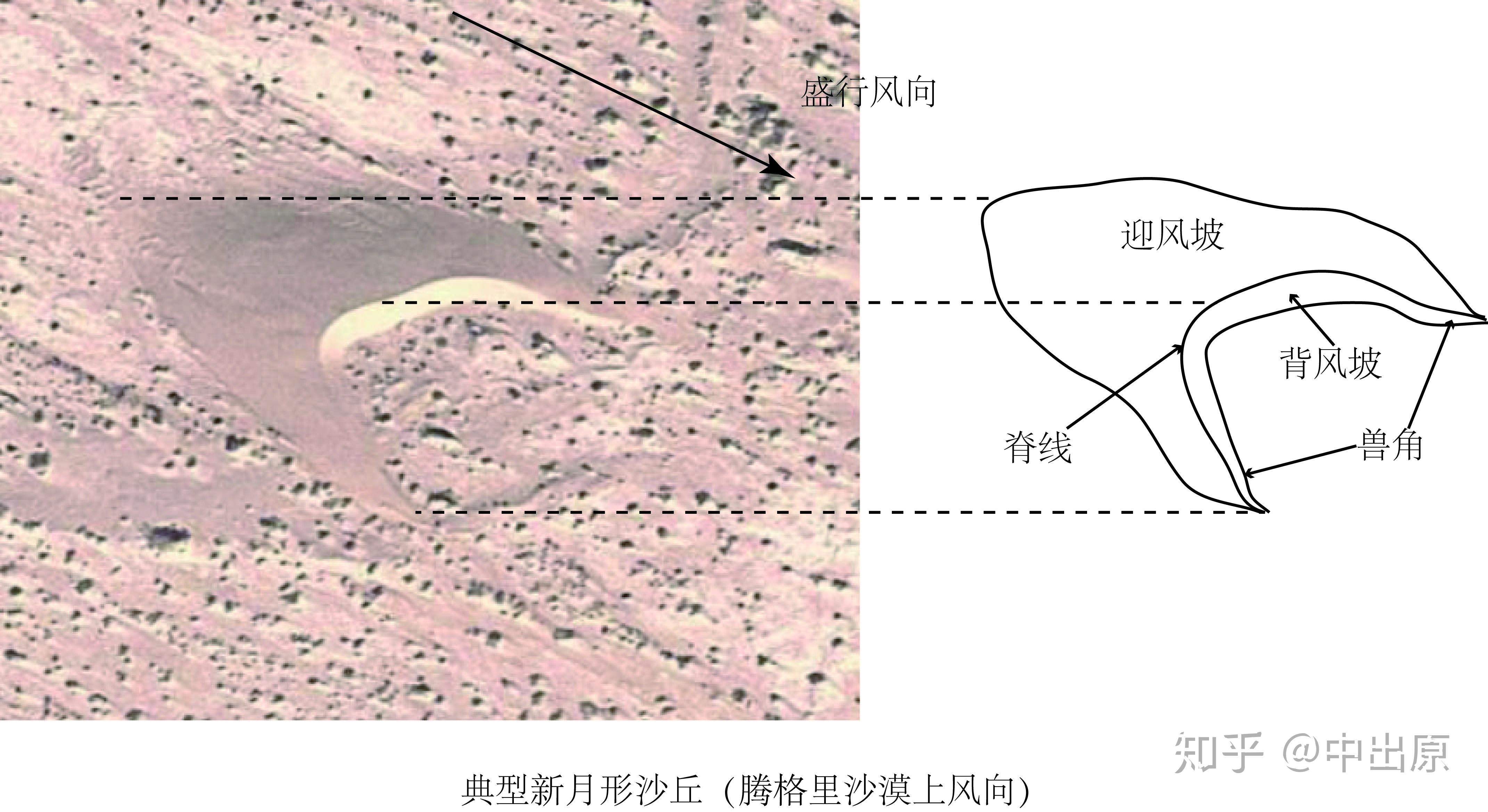 新月形沙丘和抛物线沙丘的外形相似,我该怎么区别新月形沙丘和抛物线