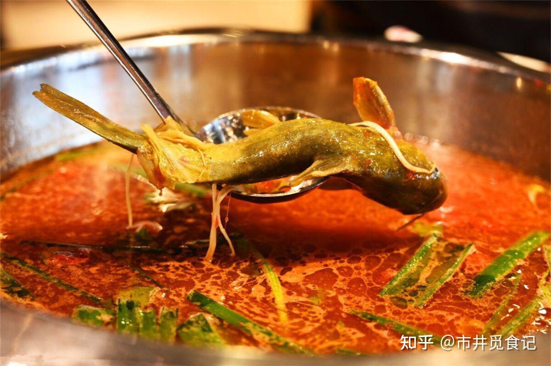 有哪些吃起来很酸的东西可以推荐? - 知乎