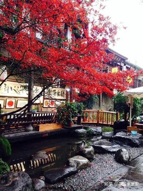 日式庭院该配什么植物？怎么配？看这里~ - 知乎