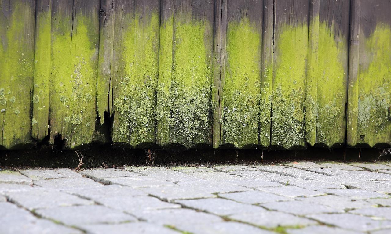 2. 木头老化处理