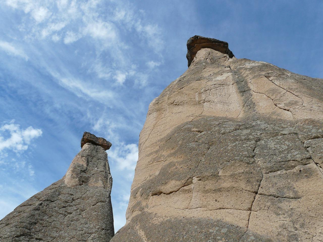 乳钙和碳酸钙有什么区别