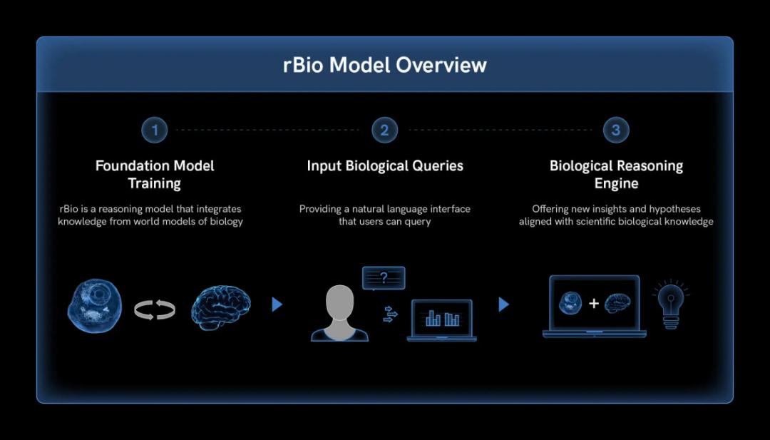Rpbio Example 扎克伯格妻子牵头研发生物学推理模型rBio,无需实验数据,可从虚拟细胞中学习推理 - 知乎