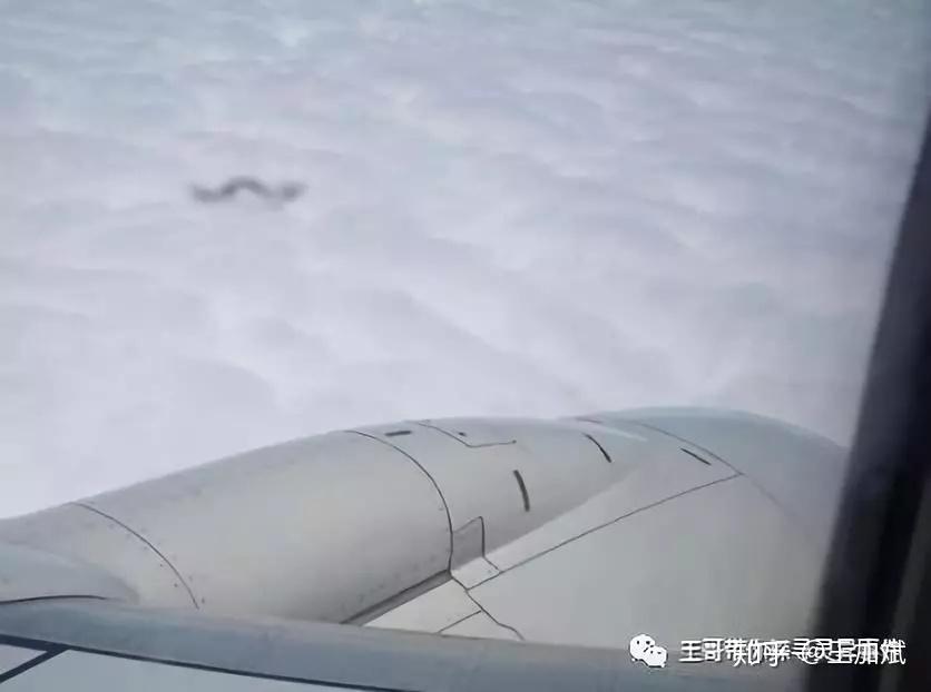 龙真的存在吗？这些似乎是龙存在的证据 - 知乎