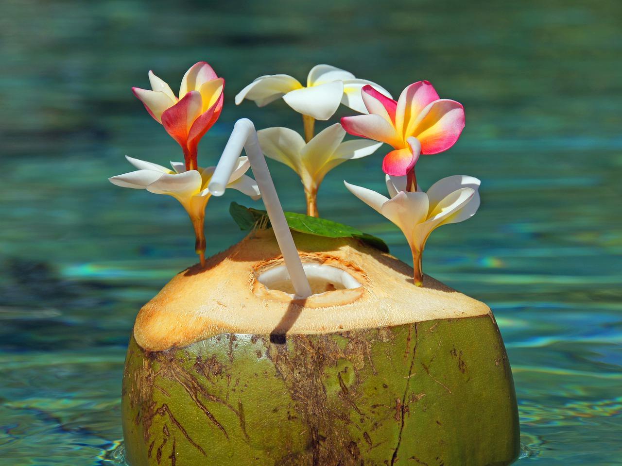 2. 老字号龟苓膏