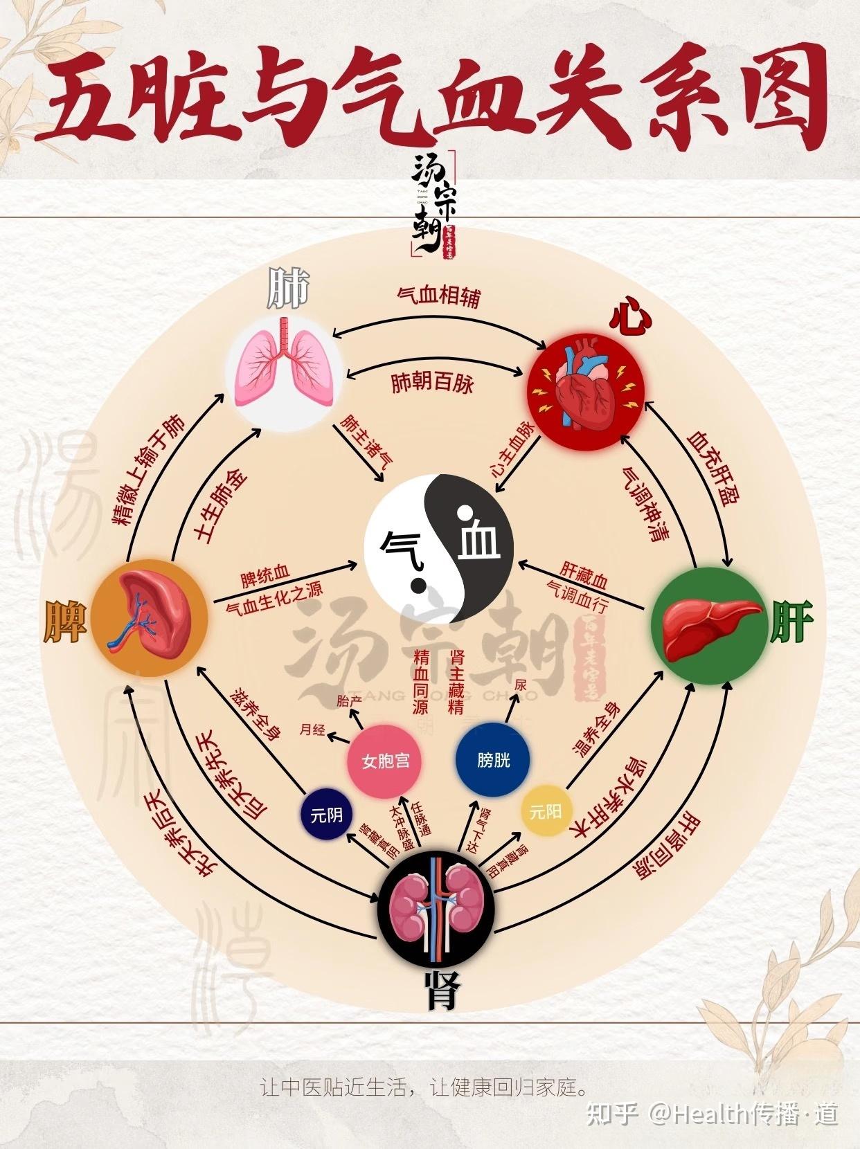 中医理论中的「气血不足」如何理解？现代医学对其有何解释或对应症状？ - 知乎