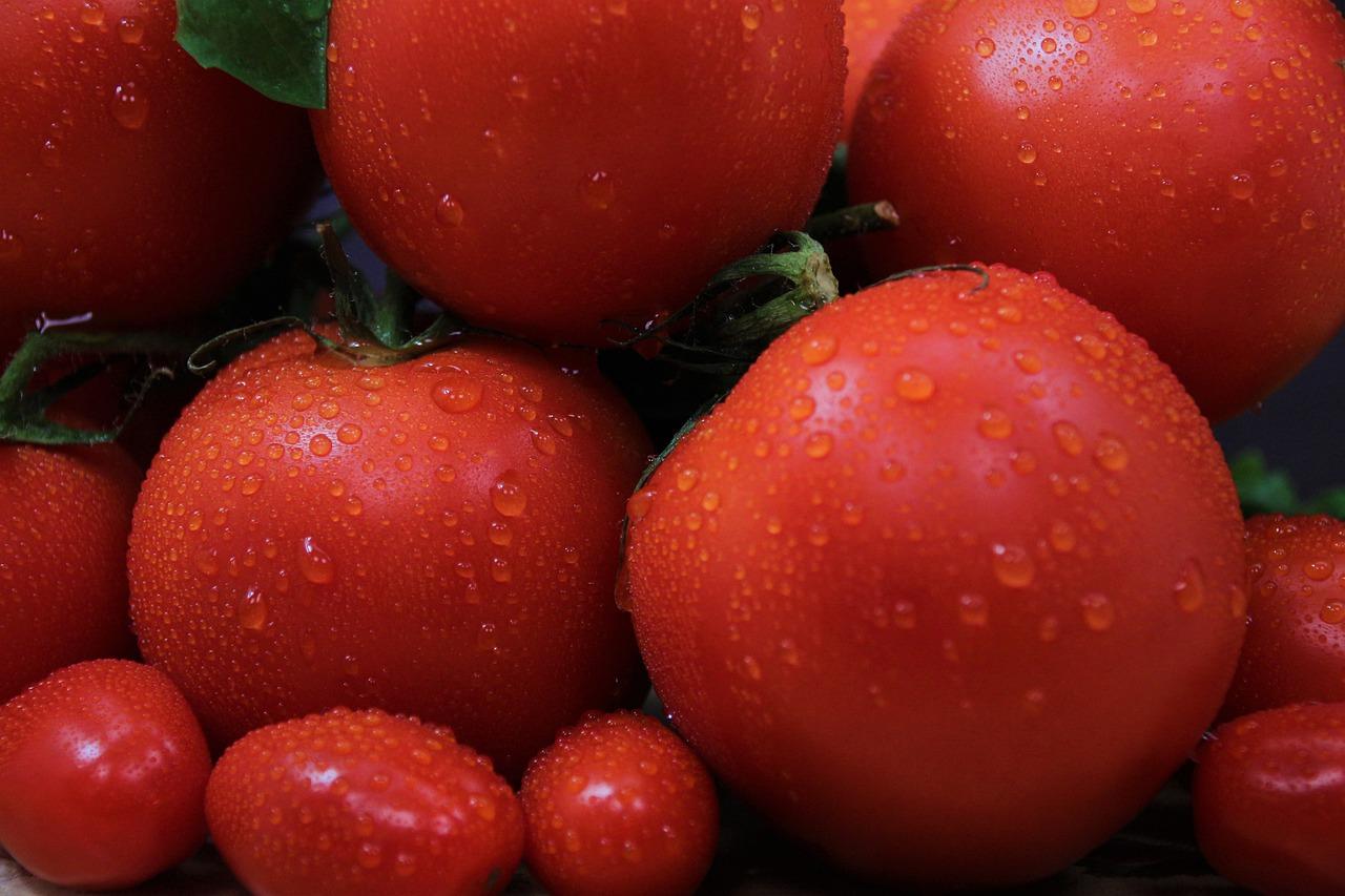 防潮墙面处理攻略