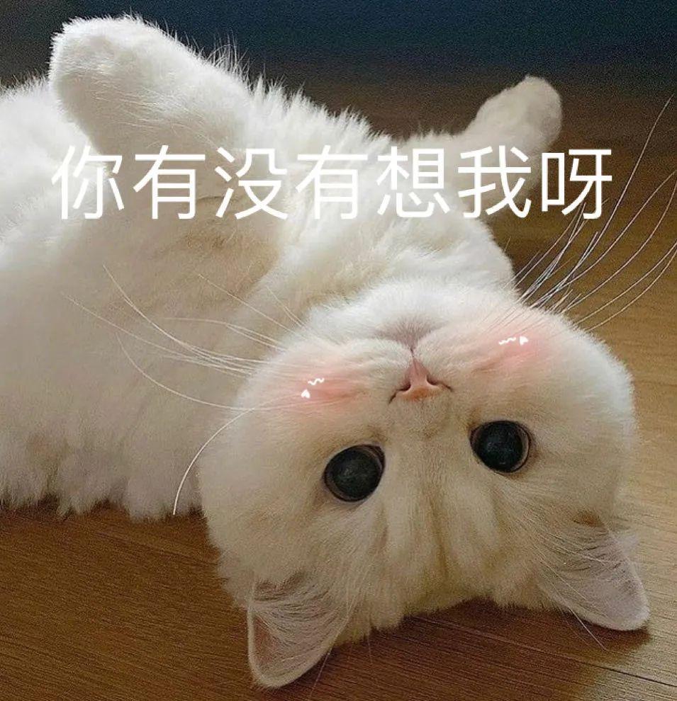 有没有让人笑到肚子痛的表情包?