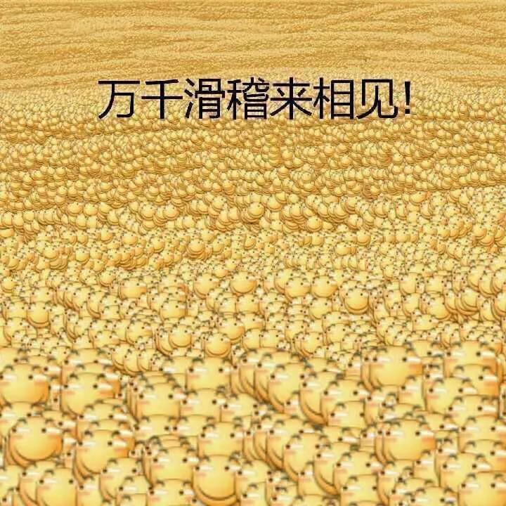 你都存了哪些有关滑稽的表情包? - huaji-newapk1 - 实验室设备网