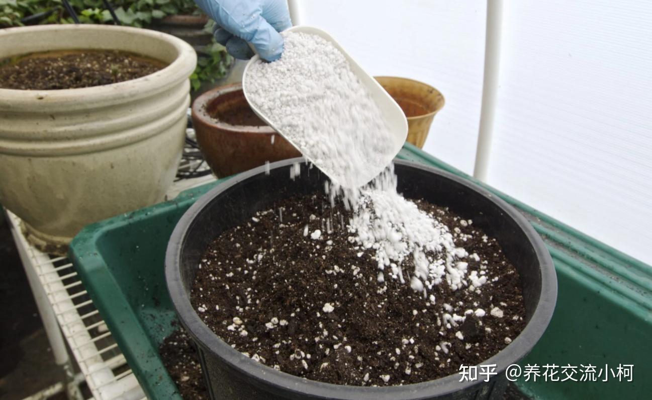 为啥要给土壤杀菌除虫再养花，户外挖来的土直接用不行吗？ - 知乎