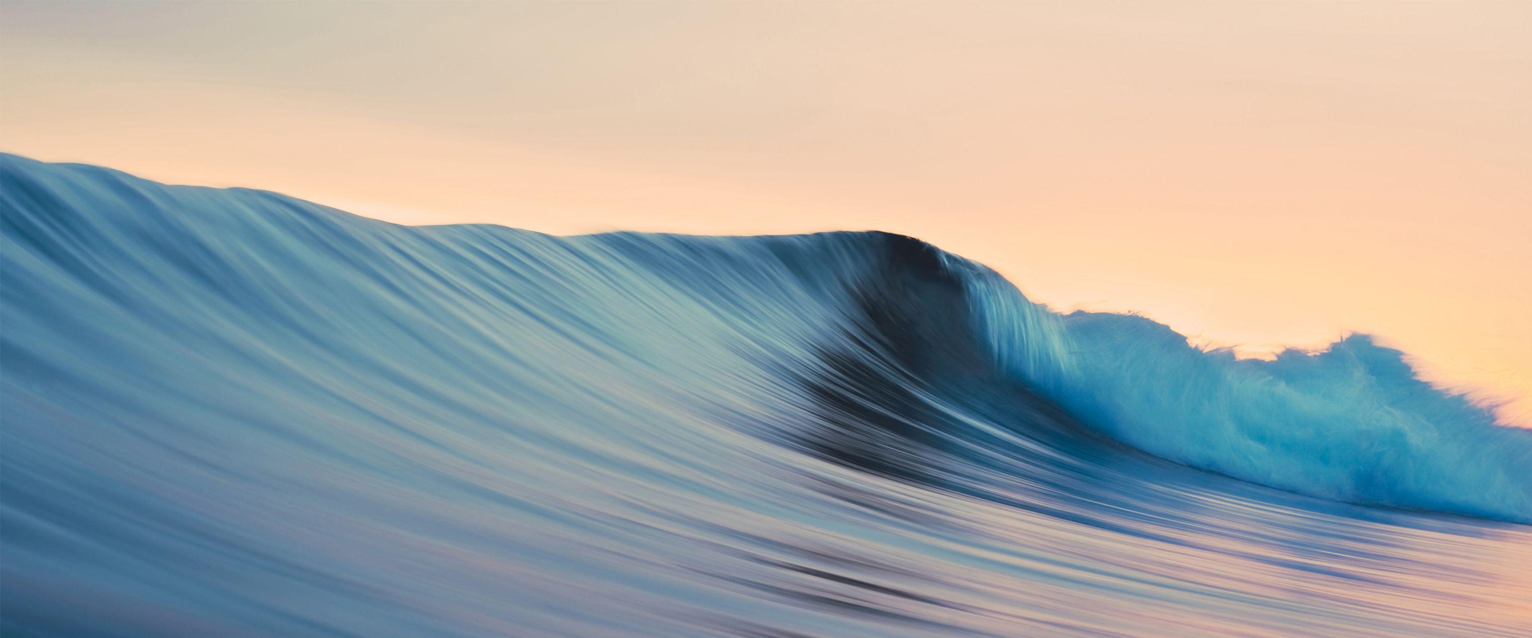 有没有好看的带鱼壁纸电脑宽屏的